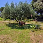 Apartman Rosa 2 Rovinj