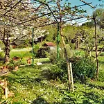 Rosa 2 Ρόβινι