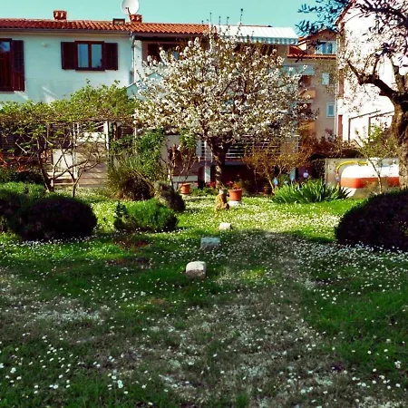 Rosa 2 Апартаменты