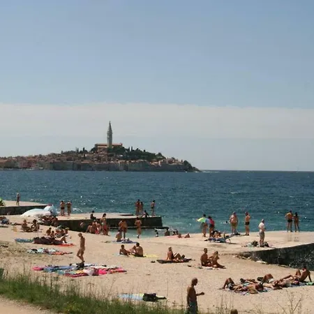 Апартаменты Rosa 2 Ровинь