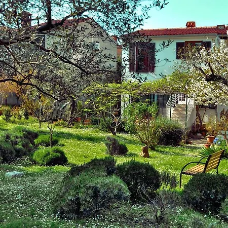 Rosa 2 Апартаменты