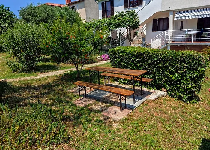 Rosa 2 * Ρόβινι