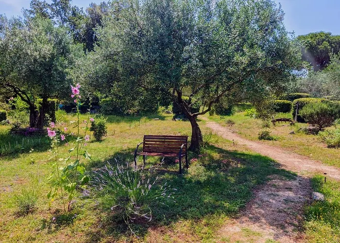 Διαμέρισμα Rosa 2 *